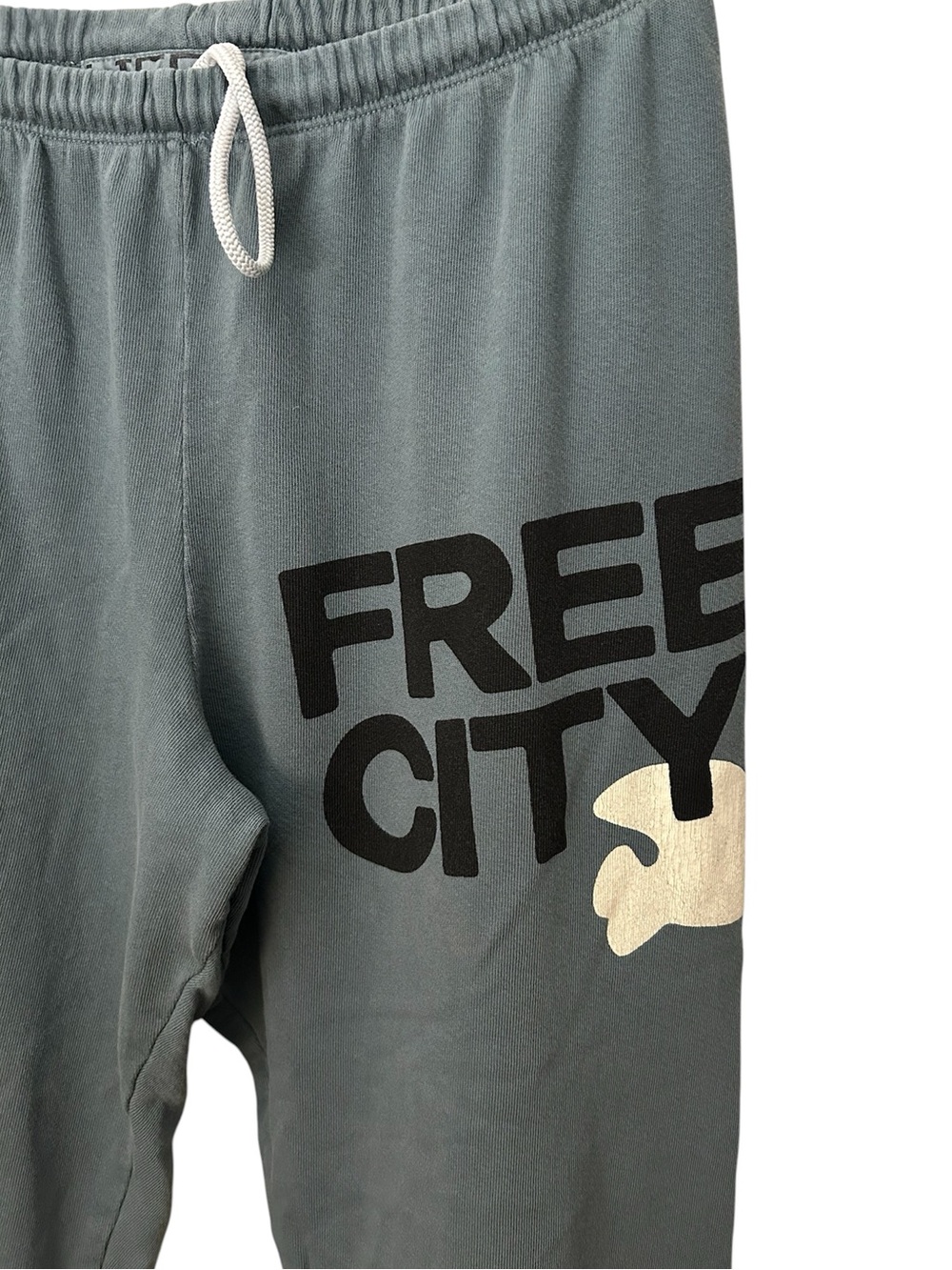 FreeCity Slate Green & Black Sweatpants Joggers Size Small - Picture 2 of 5
